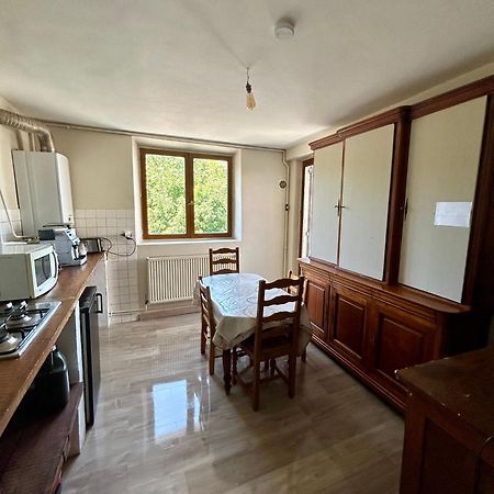 100Metres Du Chateau Au 116 Rue De La Republique Vizille Ngoại thất bức ảnh